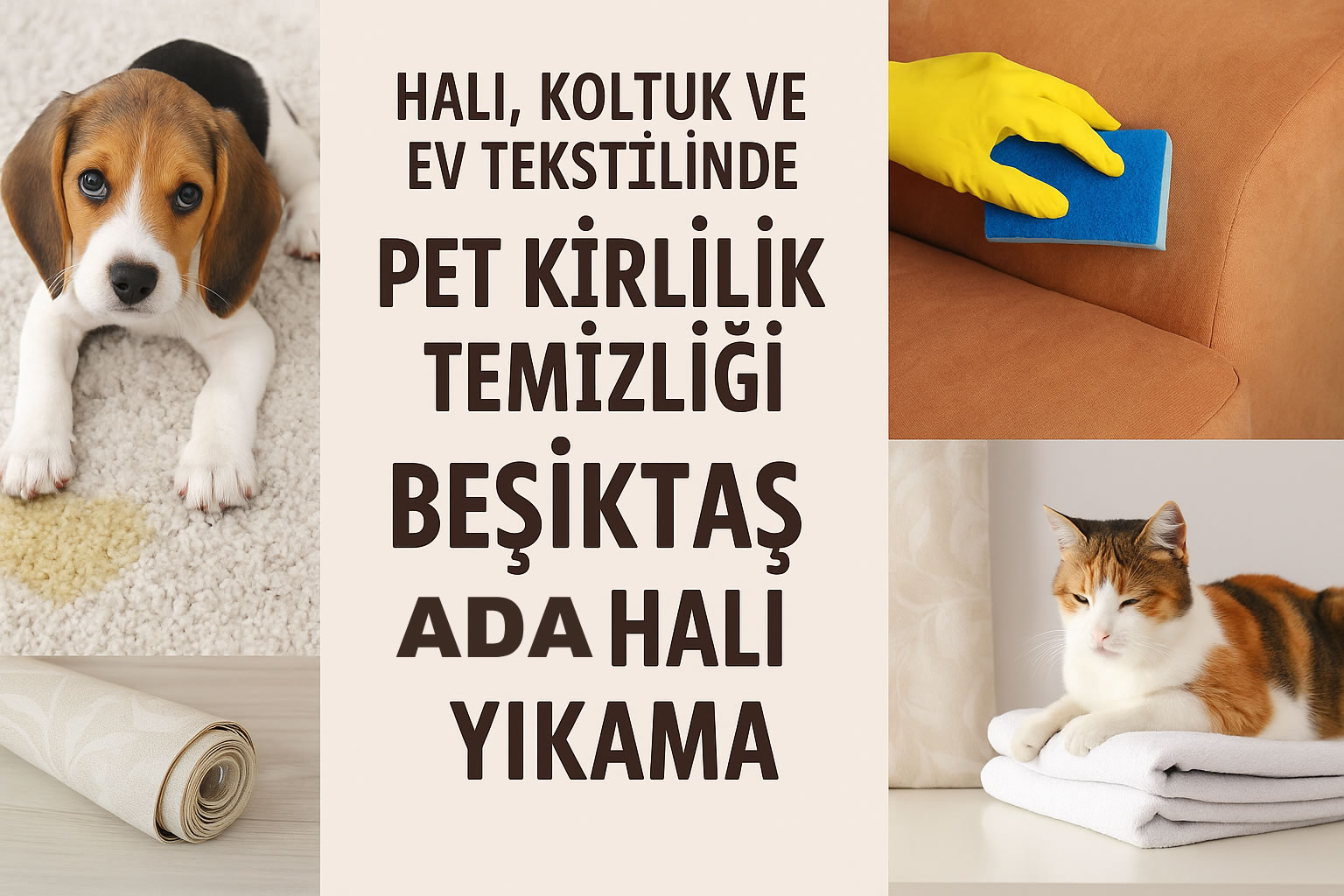  Beşiktaş Halı Yıkama